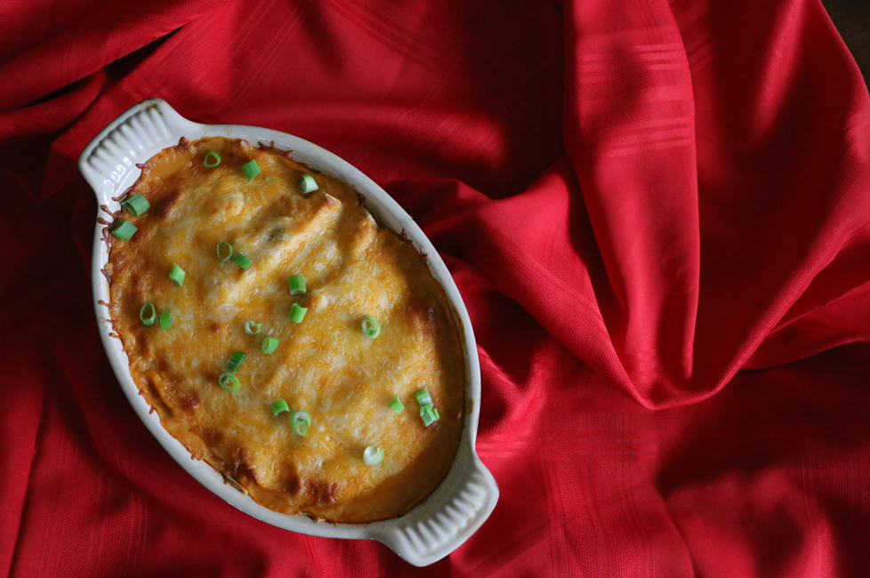 Creamy Chicken Enchiladas